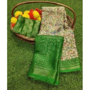 import placeholder for bsb47sanyyyaitri green b