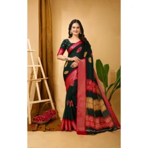 import placeholder for bsb233sa1009