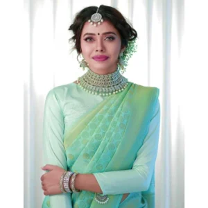 import placeholder for bsb233sasyyyh 3056lbl